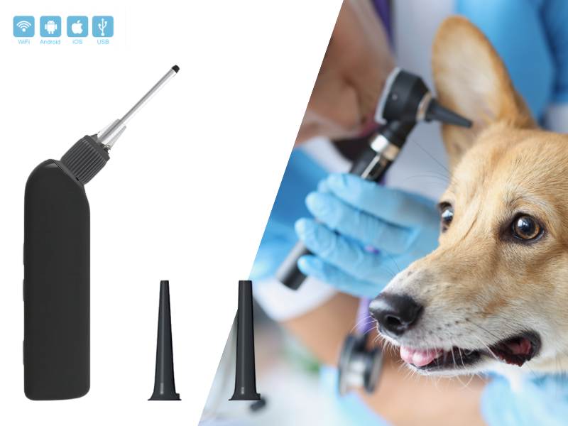 Mini Ent Veterinary Video Otoscope Set